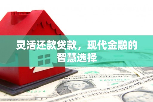 云浮灵活还款贷款，现代金融的智慧选择