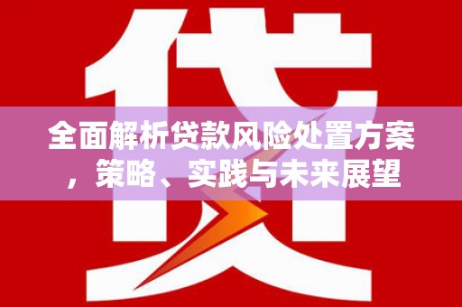 云浮全面解析贷款风险处置方案，策略、实践与未来展望