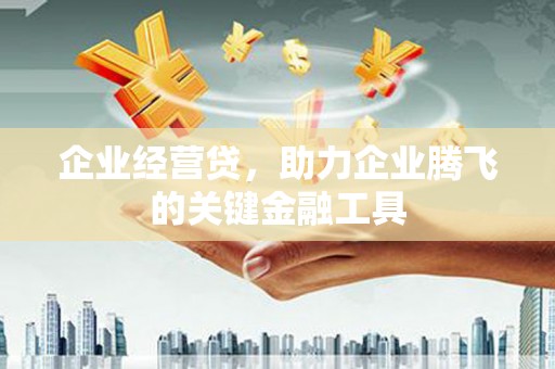 云浮企业经营贷，助力企业腾飞的关键金融工具