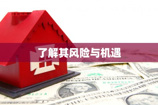 云浮了解其风险与机遇