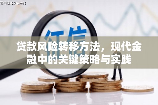 云浮贷款风险转移方法，现代金融中的关键策略与实践