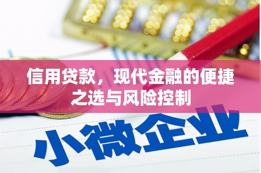 云浮信用贷款，现代金融的便捷之选与风险控制