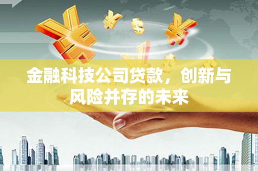 云浮金融科技公司贷款，创新与风险并存的未来
