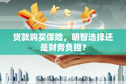 云浮贷款购买保险，明智选择还是财务负担？
