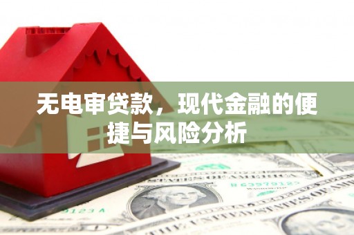 云浮无电审贷款，现代金融的便捷与风险分析