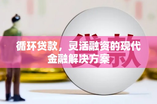 云浮循环贷款，灵活融资的现代金融解决方案