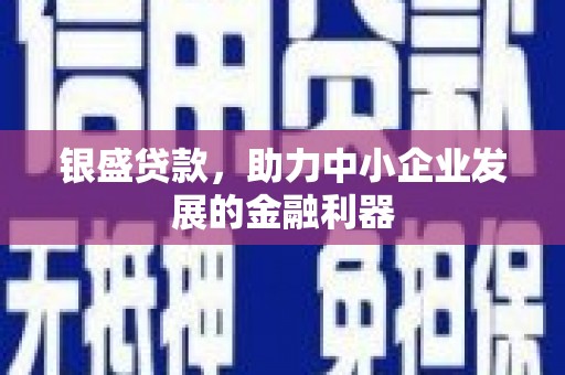 云浮银盛贷款，助力中小企业发展的金融利器