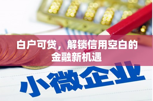 云浮白户可贷，解锁信用空白的金融新机遇