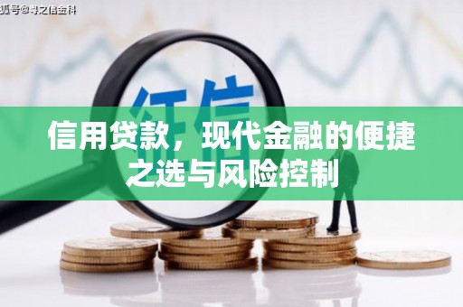 云浮信用贷款，现代金融的便捷之选与风险控制