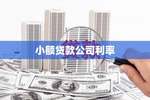云浮小额贷款公司利率