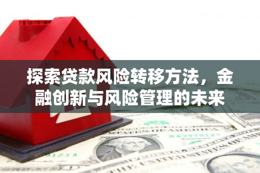 云浮探索贷款风险转移方法，金融创新与风险管理的未来