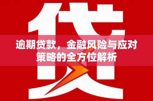 云浮逾期贷款，金融风险与应对策略的全方位解析