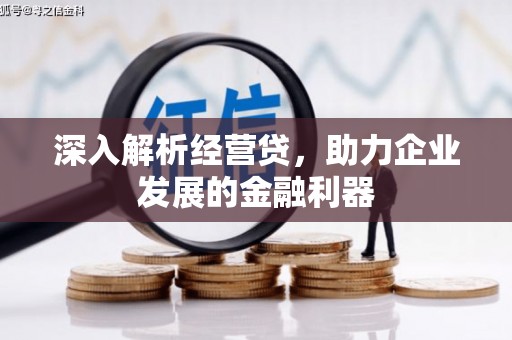云浮深入解析经营贷，助力企业发展的金融利器