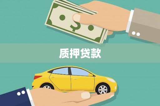 云浮质押贷款