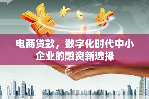 云浮电商贷款，数字化时代中小企业的融资新选择