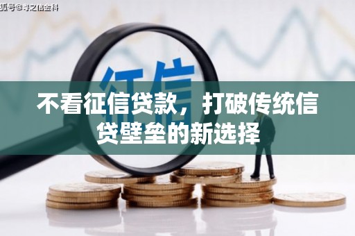 云浮不看征信贷款，打破传统信贷壁垒的新选择