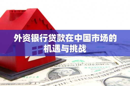 云浮外资银行贷款在中国市场的机遇与挑战
