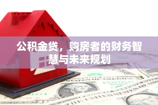 云浮公积金贷，购房者的财务智慧与未来规划