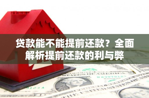 云浮贷款能不能提前还款？全面解析提前还款的利与弊