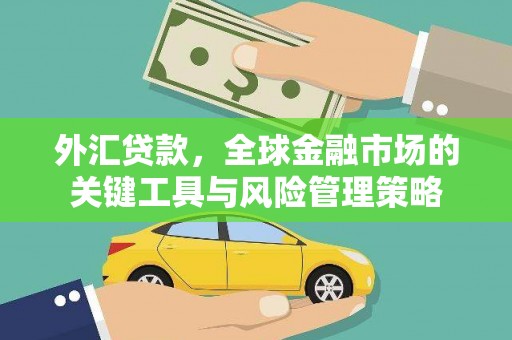 云浮外汇贷款，全球金融市场的关键工具与风险管理策略