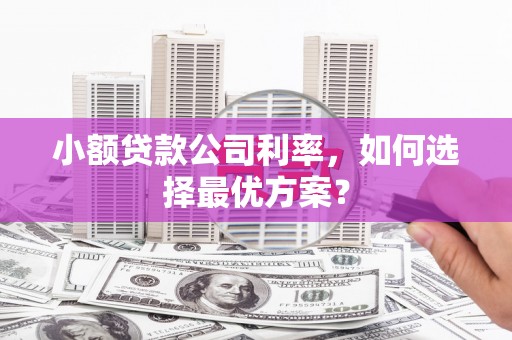 云浮小额贷款公司利率，如何选择最优方案？