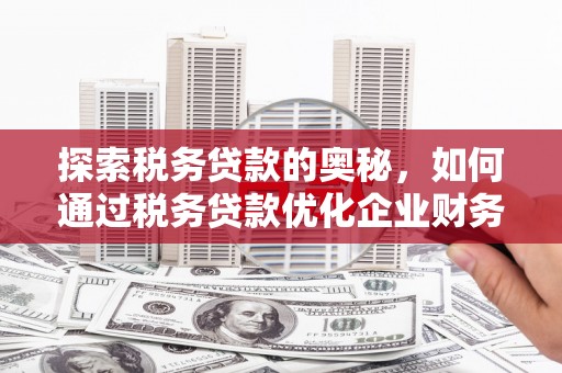 云浮探索税务贷款的奥秘，如何通过税务贷款优化企业财务