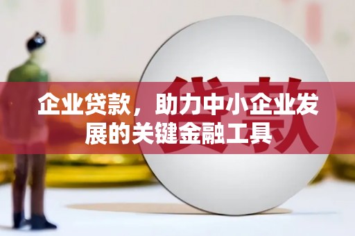 云浮企业贷款，助力中小企业发展的关键金融工具