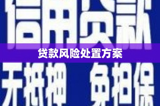 云浮贷款风险处置方案