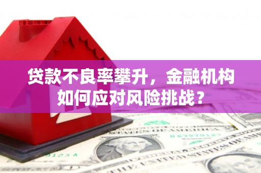 云浮贷款不良率攀升，金融机构如何应对风险挑战？