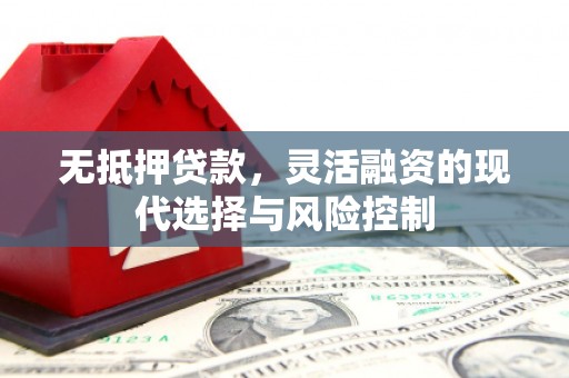 云浮无抵押贷款，灵活融资的现代选择与风险控制
