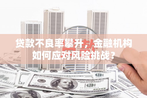 云浮贷款不良率攀升，金融机构如何应对风险挑战？