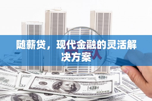 云浮随薪贷，现代金融的灵活解决方案
