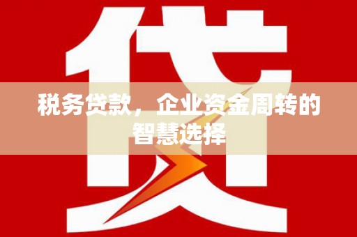 云浮税务贷款，企业资金周转的智慧选择