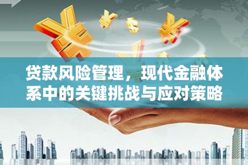 云浮贷款风险管理，现代金融体系中的关键挑战与应对策略