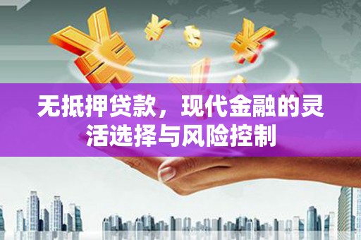 云浮无抵押贷款，现代金融的灵活选择与风险控制