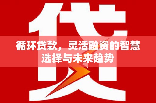 云浮循环贷款，灵活融资的智慧选择与未来趋势