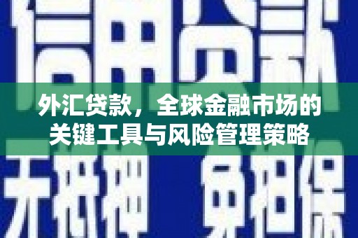 云浮外汇贷款，全球金融市场的关键工具与风险管理策略