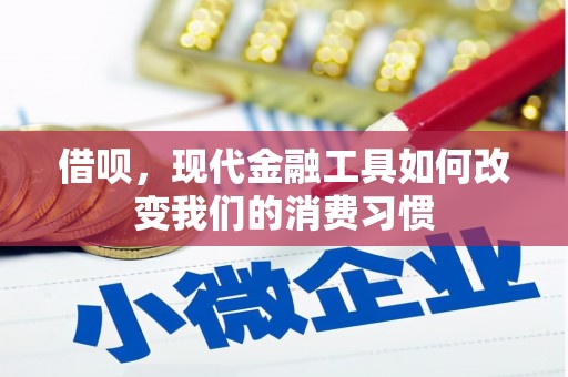 云浮借呗，现代金融工具如何改变我们的消费习惯