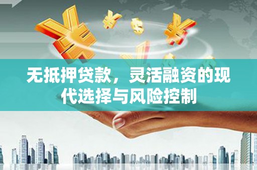 云浮无抵押贷款，灵活融资的现代选择与风险控制