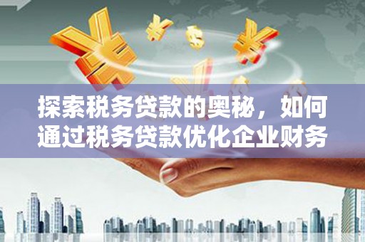 云浮探索税务贷款的奥秘，如何通过税务贷款优化企业财务