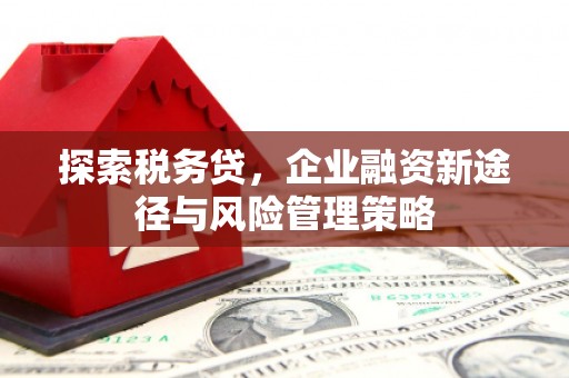 云浮探索税务贷，企业融资新途径与风险管理策略