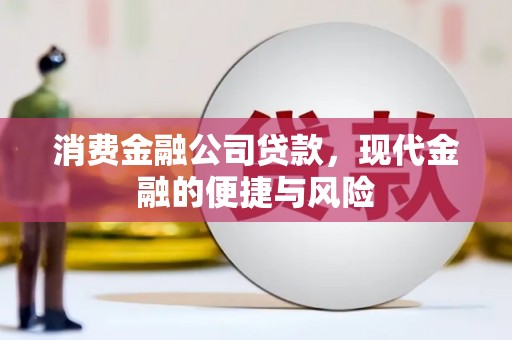 云浮消费金融公司贷款，现代金融的便捷与风险