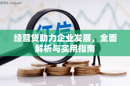 云浮经营贷助力企业发展，全面解析与实用指南