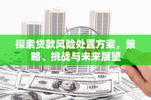 云浮探索贷款风险处置方案，策略、挑战与未来展望