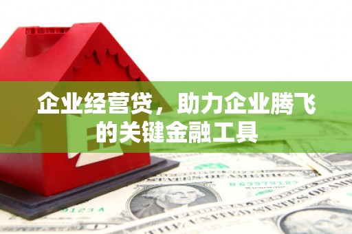 云浮企业经营贷，助力企业腾飞的关键金融工具
