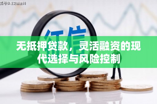 云浮无抵押贷款，灵活融资的现代选择与风险控制