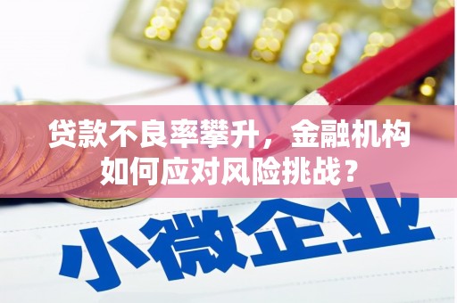 云浮贷款不良率攀升，金融机构如何应对风险挑战？