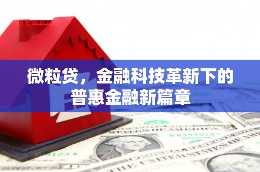 云浮微粒贷，金融科技革新下的普惠金融新篇章