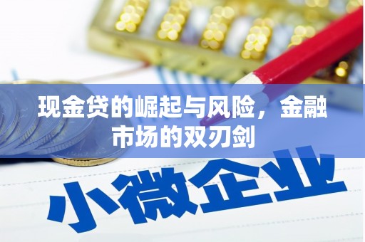 云浮现金贷的崛起与风险，金融市场的双刃剑