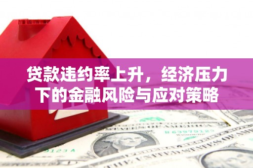云浮贷款违约率上升，经济压力下的金融风险与应对策略